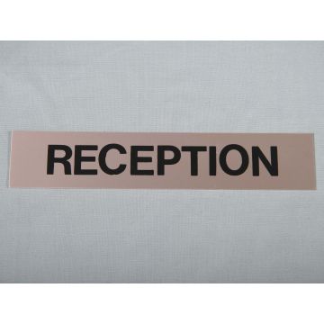 190 X 40Mm Satin Aluminium 'Reception' Sign